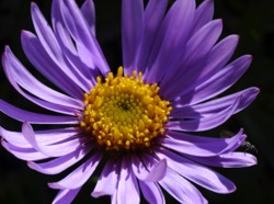 Stacks Image 126